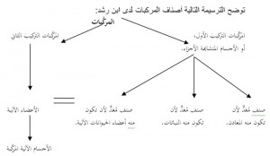 أصناف المركبات