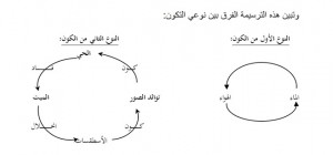 الفرق بين نوعي التكون