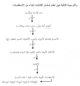 تسلسل الكائنات